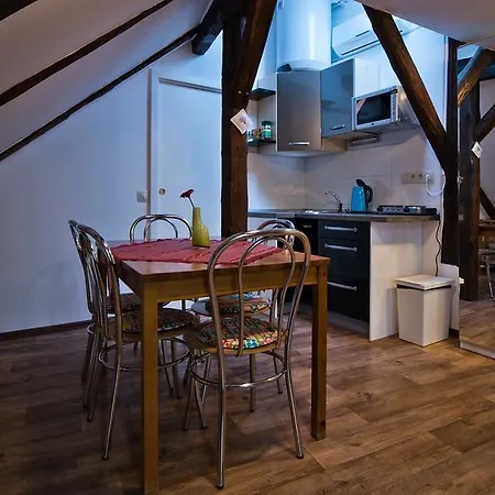 V Podzamci Apartment *