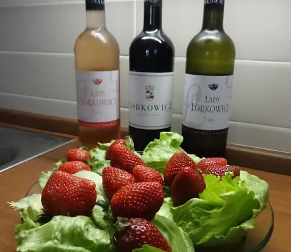 Appartement V Podzamci *